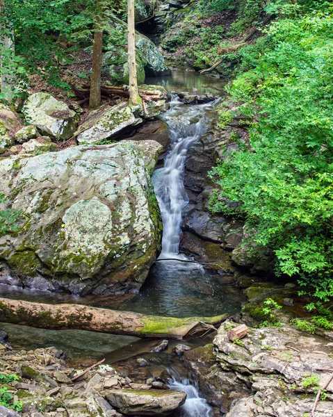 Waterval aan de cloudland canyon state park in Noord Georgië Stockfoto