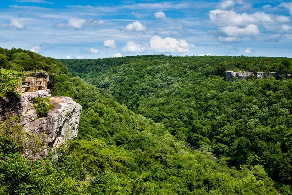 Vue élevée de la réserve fédérale de Little River Canyon dans le nord d'Ala — Photo