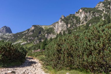 Malyovitsa nehir vadisinin yaz manzarası, Rila Dağı, Bulgaristan