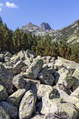 Malyovitsa nehir vadisinin yaz manzarası, Rila Dağı, Bulgaristan