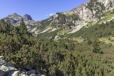 Malyovitsa nehir vadisinin yaz manzarası, Rila Dağı, Bulgaristan