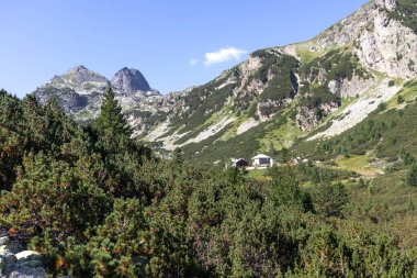 Malyovitsa nehir vadisinin yaz manzarası, Rila Dağı, Bulgaristan