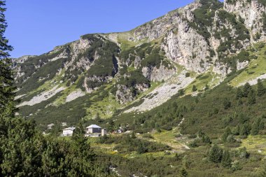 Malyovitsa nehir vadisinin yaz manzarası, Rila Dağı, Bulgaristan