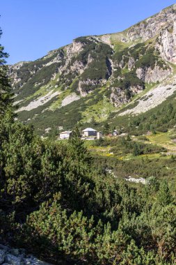Malyovitsa nehir vadisinin yaz manzarası, Rila Dağı, Bulgaristan