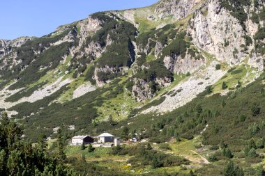 Malyovitsa nehir vadisinin yaz manzarası, Rila Dağı, Bulgaristan
