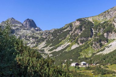 Malyovitsa nehir vadisinin yaz manzarası, Rila Dağı, Bulgaristan