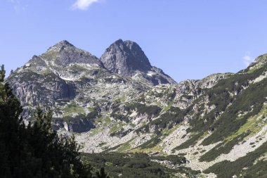 Malyovitsa nehir vadisinin yaz manzarası, Rila Dağı, Bulgaristan