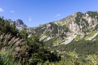 Malyovitsa nehir vadisinin yaz manzarası, Rila Dağı, Bulgaristan