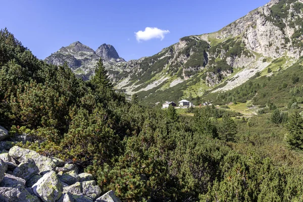 Malyovitsa nehir vadisinin yaz manzarası, Rila Dağı, Bulgaristan