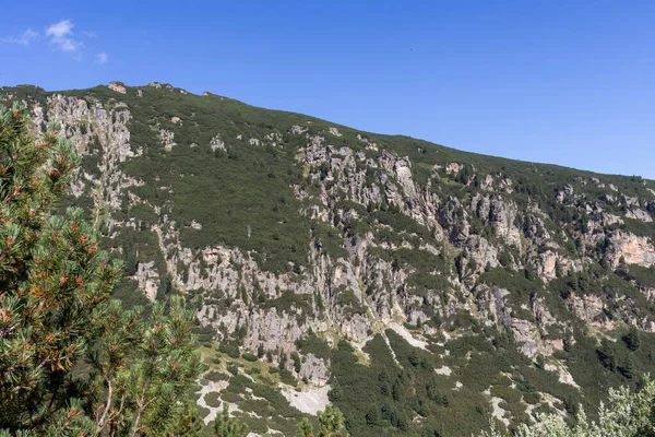 ブルガリア リラ山 マリヨヴィツァ川渓谷の夏の風景 — ストック写真