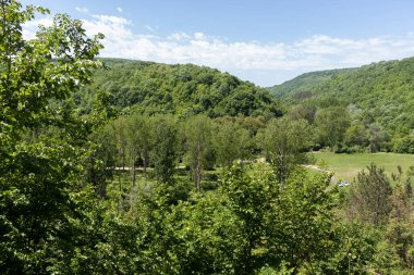 Ortaçağ Albotin Kaya Manastırı, Vidin Bölgesi, Bulgaristan