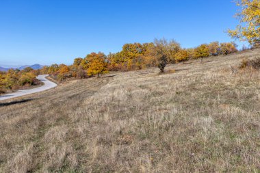 Sonbahar manzara Cherna Gora (Karadağ) Dağı, Pernik bölge, Bulgaristan