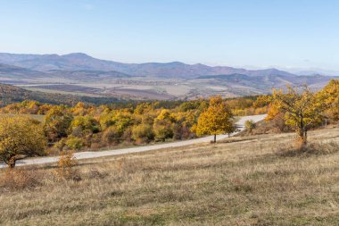 Sonbahar manzara Cherna Gora (Karadağ) Dağı, Pernik bölge, Bulgaristan