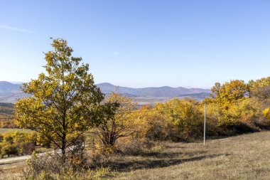 Sonbahar manzara Cherna Gora (Karadağ) Dağı, Pernik bölge, Bulgaristan