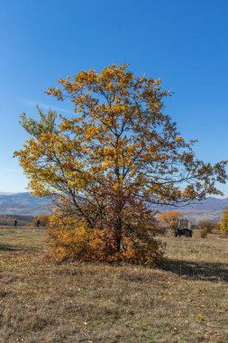 Sonbahar manzara Cherna Gora (Karadağ) Dağı, Pernik bölge, Bulgaristan