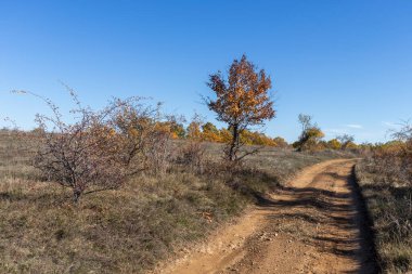 Sonbahar manzara Cherna Gora (Karadağ) Dağı, Pernik bölge, Bulgaristan