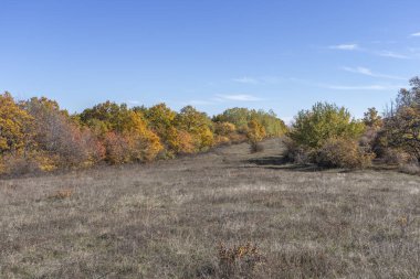 Sonbahar manzara Cherna Gora (Karadağ) Dağı, Pernik bölge, Bulgaristan