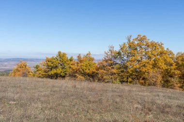 Sonbahar manzara Cherna Gora (Karadağ) Dağı, Pernik bölge, Bulgaristan