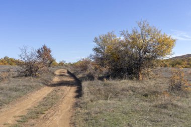 Sonbahar manzara Cherna Gora (Karadağ) Dağı, Pernik bölge, Bulgaristan