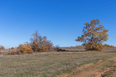 Sonbahar manzara Cherna Gora (Karadağ) Dağı, Pernik bölge, Bulgaristan