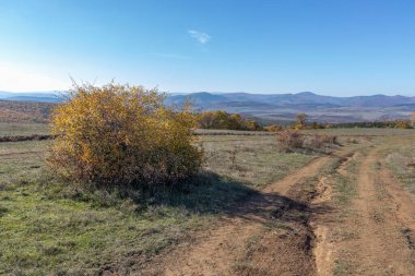 Sonbahar manzara Cherna Gora (Karadağ) Dağı, Pernik bölge, Bulgaristan