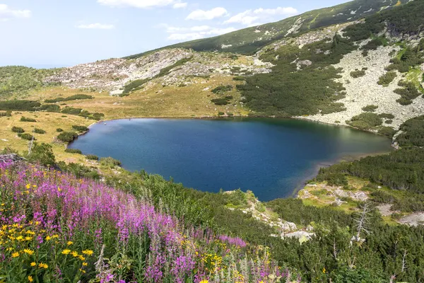 Дивовижний Краєвид Рильської Гори Біля Озера Йончево Болгарія — стокове фото