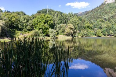 Smolyan gölleri yakınlarındaki Rodop Dağları Panoraması, Smolyan Bölgesi, Bulgaristan