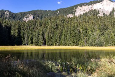 Smolyan gölleri yakınlarındaki Rodop Dağları Panoraması, Smolyan Bölgesi, Bulgaristan