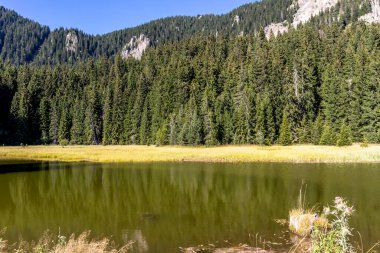 Smolyan gölleri yakınlarındaki Rodop Dağları Panoraması, Smolyan Bölgesi, Bulgaristan