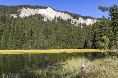 Smolyan gölleri yakınlarındaki Rodop Dağları Panoraması, Smolyan Bölgesi, Bulgaristan