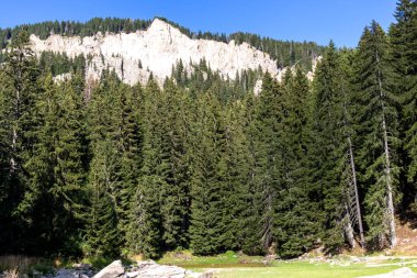 Smolyan gölleri yakınlarındaki Rodop Dağları Panoraması, Smolyan Bölgesi, Bulgaristan