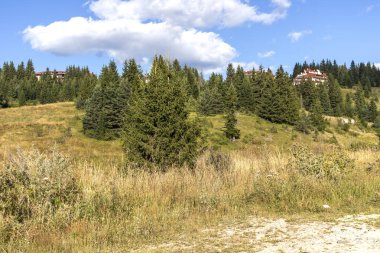Smolyan gölleri yakınlarındaki Rodop Dağları Panoraması, Smolyan Bölgesi, Bulgaristan