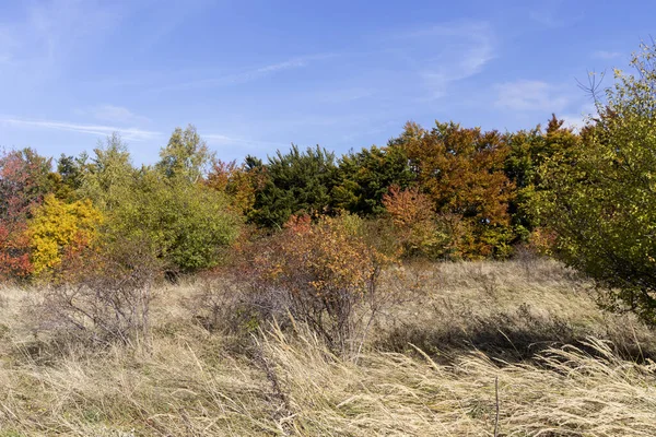 Incredibile Vista Autunnale Della Montagna Vitosha Bulgaria — Foto Stock