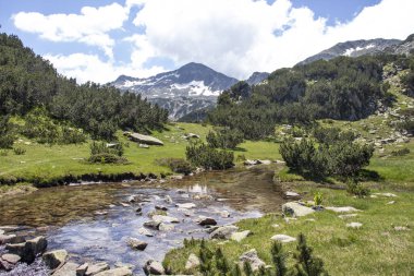 Bulgaristan 'ın Banderitsa Nehri yakınlarındaki Pirin Dağı' nın şaşırtıcı manzarası