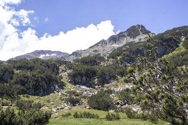 Bulgaristan 'ın Banderitsa Nehri yakınlarındaki Pirin Dağı' nın şaşırtıcı manzarası
