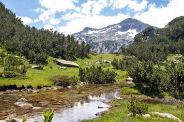 Bulgaristan 'ın Banderitsa Nehri yakınlarındaki Pirin Dağı' nın şaşırtıcı manzarası