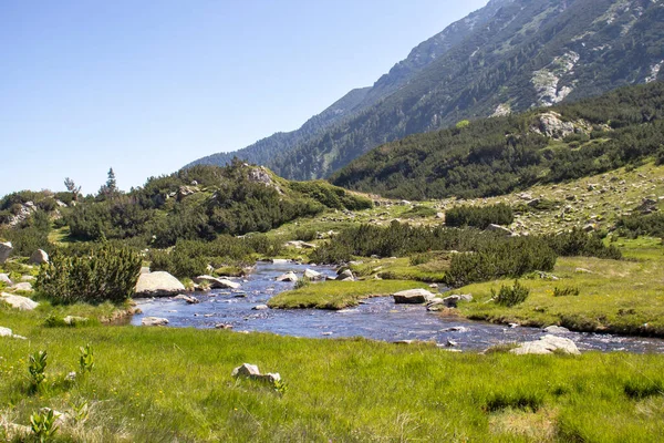 Amazing Landscape Pirin Mountain Banderitsa River Bulgaria — Stock Photo, Image