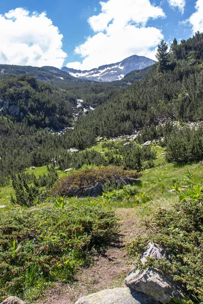 Increíble Paisaje Montaña Pirin Cerca Del Río Banderitsa Bulgaria —  Fotos de Stock