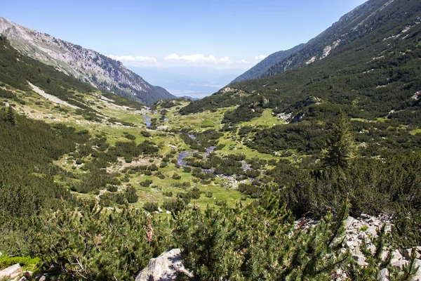 Fantastiskt Landskap Pirin Mountain Nära Banderitsa River Bulgarien — Stockfoto