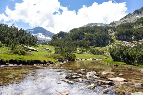 Úžasná Krajina Hory Pirin Blízkosti Řeky Banderitsa Bulharsko — Stock fotografie