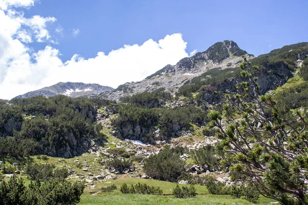 Paisagem Incrível Montanha Pirin Perto Rio Banderitsa Bulgária — Fotografia de Stock