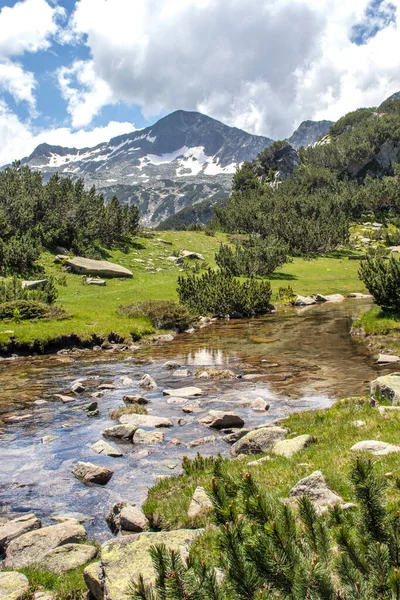 Úžasná Krajina Hory Pirin Blízkosti Řeky Banderitsa Bulharsko — Stock fotografie