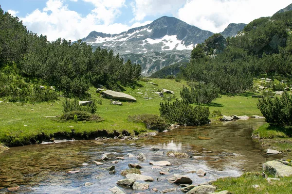 Bulgaristan 'ın Banderitsa Nehri yakınlarındaki Pirin Dağı' nın şaşırtıcı manzarası