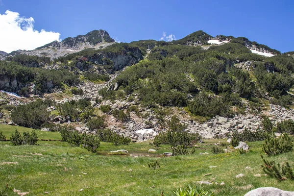 Paesaggio Incredibile Della Montagna Pirin Vicino Fiume Banderitsa Bulgaria — Foto Stock