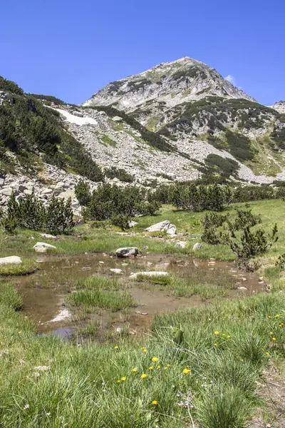 Bulgaristan 'ın Banderitsa Nehri yakınlarındaki Pirin Dağı' nın şaşırtıcı manzarası