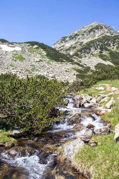 Amazing Landscape Pirin Mountain Dekat Sungai Banderitsa Bulgaria — Stok Foto