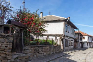 TRYAVNA, BULGARIA - 1 Mayıs 2021: Bulgaristan 'ın eski Tryavna kentindeki Tipik sokak ve Ninetenth Century Evleri