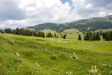 Bulgaristan 'ın Belmeken Barajı yakınlarındaki Rila Dağı' nın muhteşem manzarası