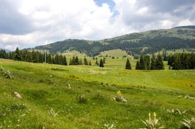 Bulgaristan 'ın Belmeken Barajı yakınlarındaki Rila Dağı' nın muhteşem manzarası