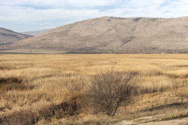 Aldomirovtsi bataklığının sonbahar manzarası, Sofya bölgesi, Bulgaristan